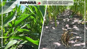 Choosing the Right Adjuvant for ESA Compliance
