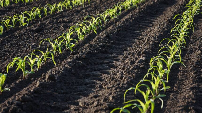 EPA Greenlights PAM As Pesticide Mitigation Tool
