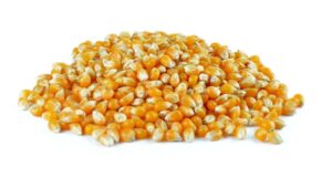 CropLife 100 Report: Seed Sales Slip in 2025, But Long-Term Stability Holds
