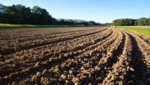 Attune Agriculture Launches New Soil Adjuvant