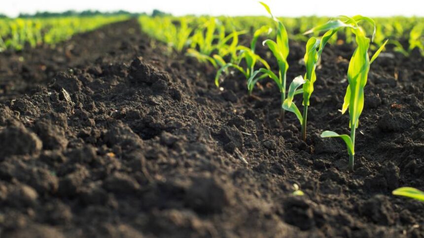 WSSA Commends New Regenerative Agriculture Pilot Project