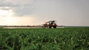 Adjuvants Are Ready for Prime Time 