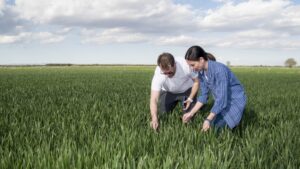 Soil Biology Is Rewriting the Retail Playbook