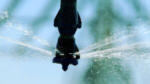Sentinel Ag and Nave Analytics Partner to Deliver Integrated Nitrogen and Irrigation Insights Through the Sentinel Platform