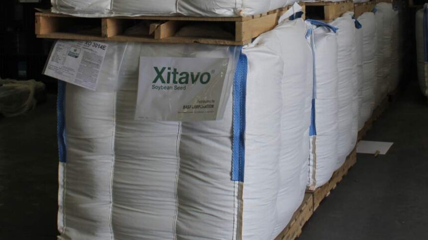 Seed Companies Double Down on SCN As Pressure Intensifies