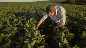 2026 Q1 AgTech Venture Capital Investment and Exit Round Up
