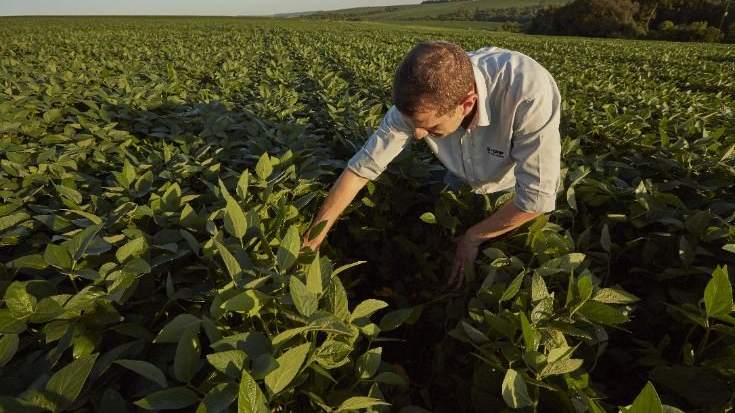 BASF Agricultural Solutions Completes Acquisition of AgBiTech, Expanding Its Biological Insect Control Portfolio