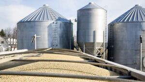 CoBank Data Reveals Farmers Were Aggressive Sellers of Soybeans in Fall 2025