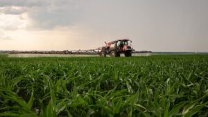 Albaugh Accelerates Its Insecticide Expansion