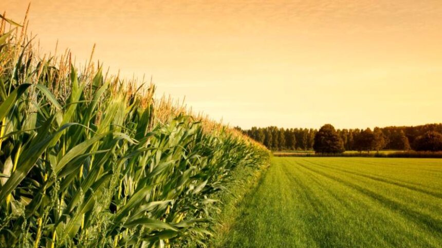 Biopesticides Gaining Momentum: BASF, Corteva, and FMC Signal a New Era for Biologicals