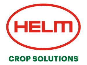 HELM LOGO