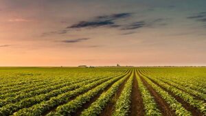Agriculture Woes: Bad Guys or Bad Timing?