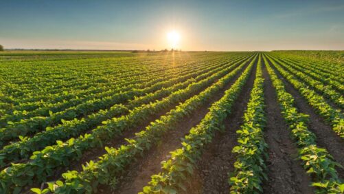 Taking a BioPowered Approach to Crop Protection Research and Development