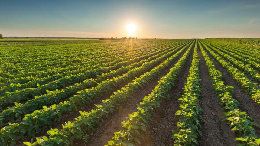 Corteva to Bring Enclosa Herbicide to Soybean Farmers