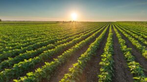TFI Welcomes Reinstatement of USDA Crop Inputs Economist