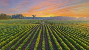 TFI Backs Bipartisan BUILD America 250 Act to Strengthen Rural Infrastructure and Agricultural Supply Chains