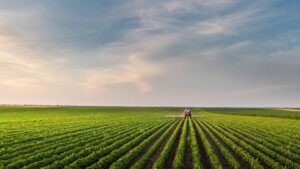 Bioherbicides: The Biggest Product Gap