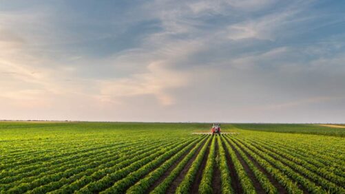 Bioherbicides: The Biggest Product Gap