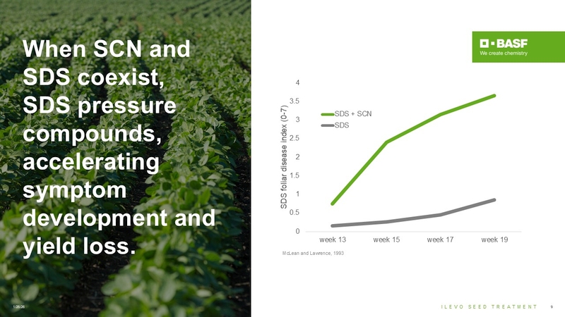 When SCN and SDS coexist, SDS pressure compounds, accelerating symptom development and yield loss. 
