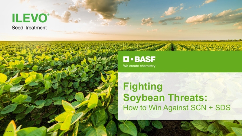 Fighting Soybean Threats: How to Win Against SCN + SDS