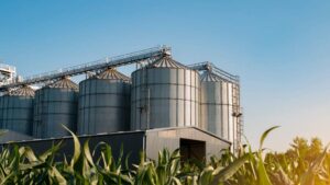 Central Life Sciences Introduces Customizable Grain Protection Protocol to Defend Profit Potential of Stored Grain