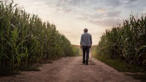 Rethinking Sulfur and Multi-Nutrient Fertility