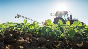 The Right Foliar Fertilizer Sparks Chemistry