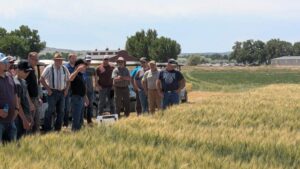 Built by Farmers, Driven by Microbes: The Smart Blend Technology Story