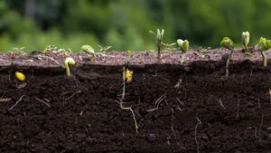 Nitrogen Aids Proliferate As Innovation Targets Efficiency, Loss Reduction