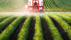 Crop Nutrition Products for Efficiency Spur Innovation from Soil to Foliar