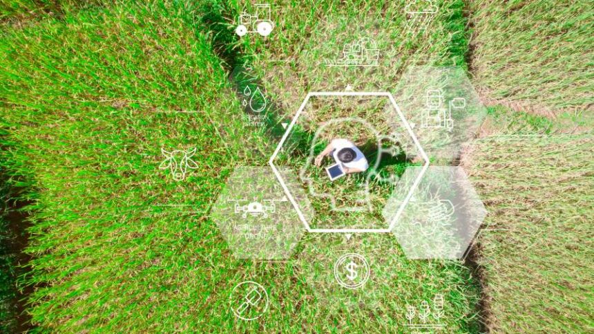 Beyond Yield Maps: Why In-Season Data Collection Matters More Than Ever