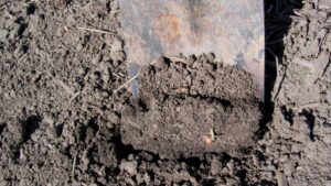 Ready for the Row: Strategies for Spring Field Preparation and Fertility