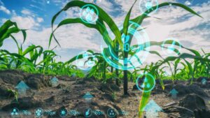 AI Adoption Blueprint for Ag Retail