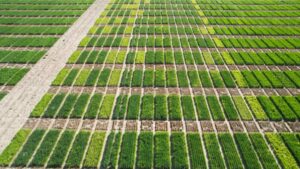 BIOTROP Gains Traction in U.S. Market, Reaches $1.3 Million in First Year of Sales