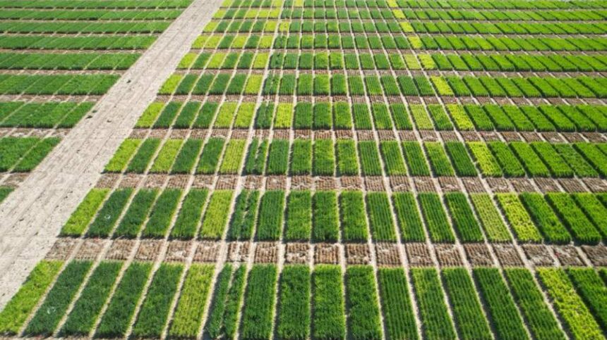 BIOTROP Gains Traction in U.S. Market, Reaches $1.3 Million in First Year of Sales