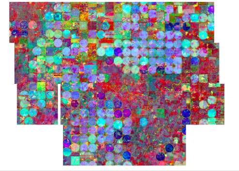 Embeddings translate agricultural measurements into machine-readable representations, helping AI systems compare crop conditions across time, geography, and growing seasons. Source: EarthDaily