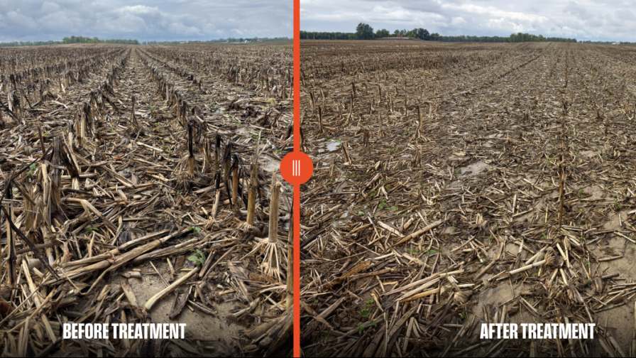 Before and After Treatment