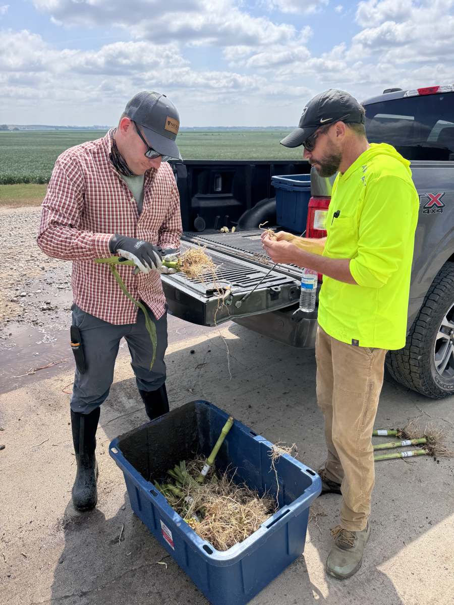 From right: ProFarm’s Seth Little examines roots at a Nebraska Neovo Trial with Robert Blundell, Field Development Manager.