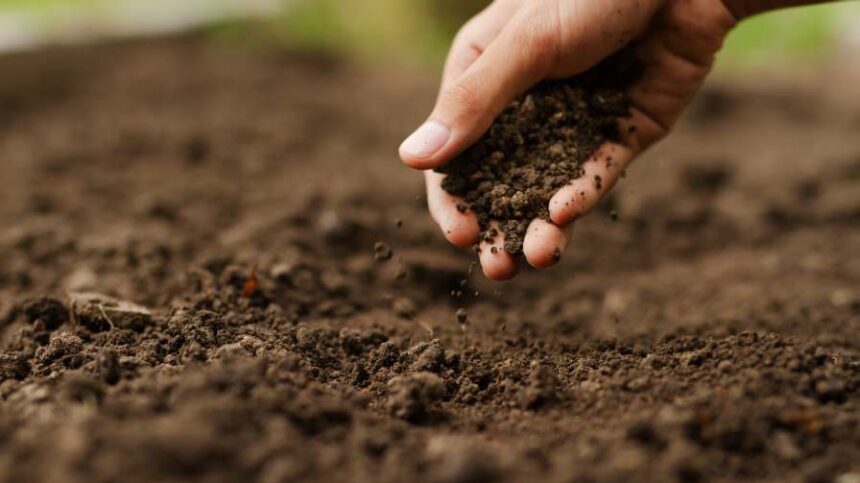From Nanotech to AI: Rethinking Micronutrient Delivery