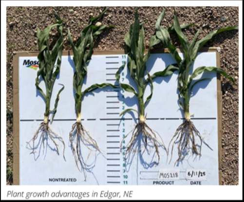 Figure 1. On-farm trial results in corn-on-corn systems.