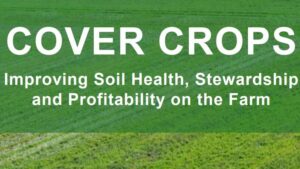 New SARE Handbook on Cover Crops Offers In-Depth Management Advice