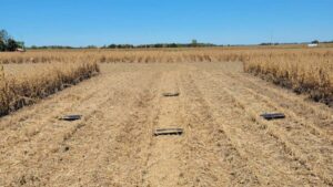 Researchers Investigate If Herbicides and Chaff Lining Work Together