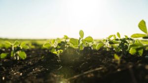The Bio-Reckoning Is Here in Agriculture