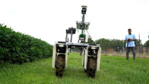 SIU Researchers Build Robot, AI to Detect Soybean Diseases Before Symptoms Appear