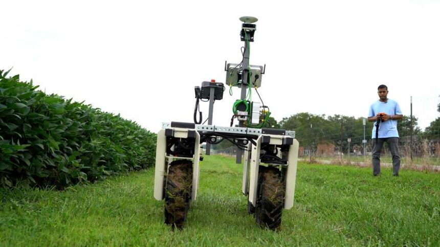 SIU Researchers Build Robot, AI to Detect Soybean Diseases Before Symptoms Appear