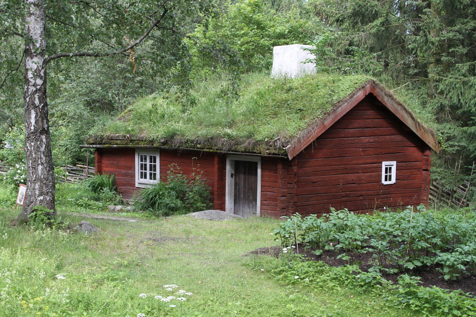 Дом с земляной крышей