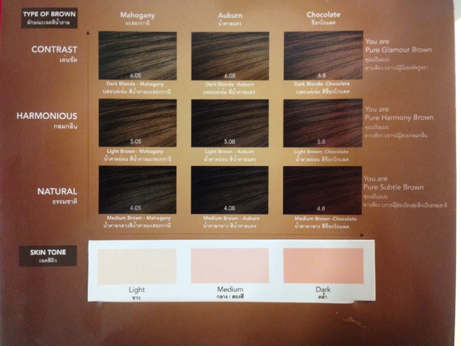 FlipSnack Socolor Chart New By Gbrayong
