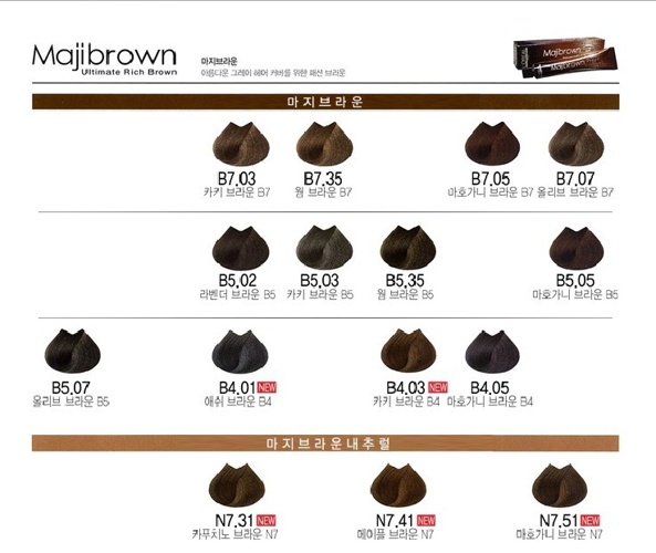FlipSnack Socolor Chart New By Gbrayong
