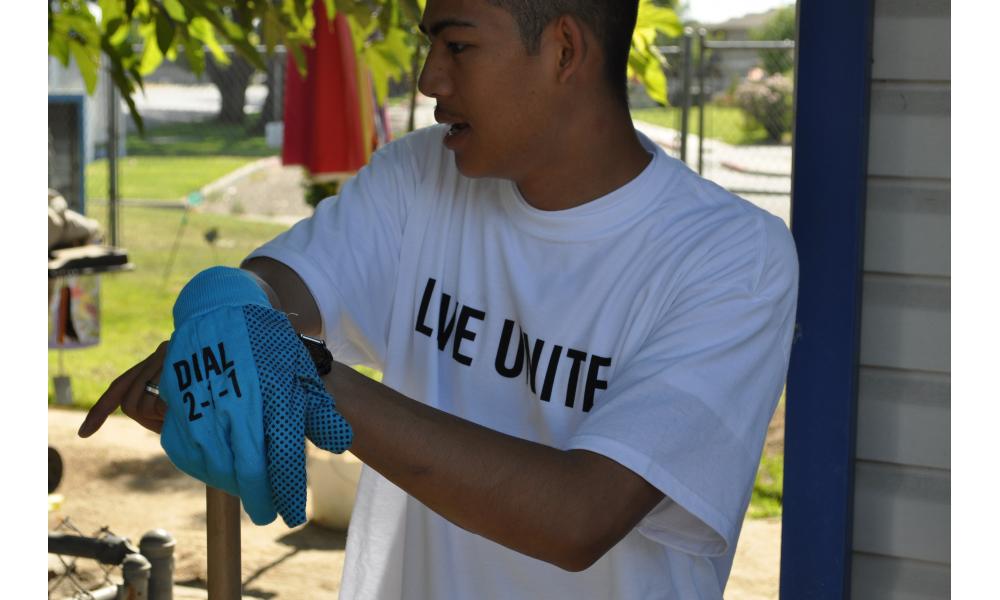 Photo 5