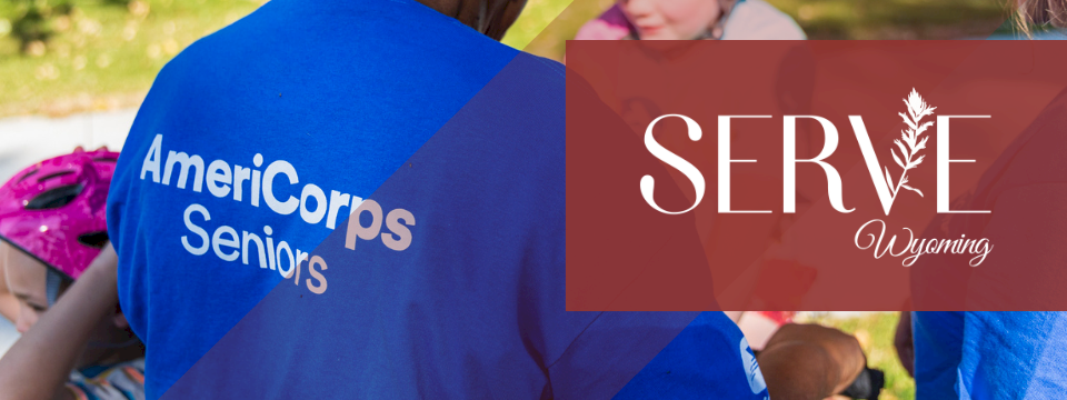 Volunteer Wyoming Mobile Site Banner